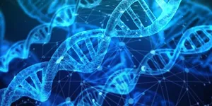 免疫细胞存储及遗传性肿瘤检测